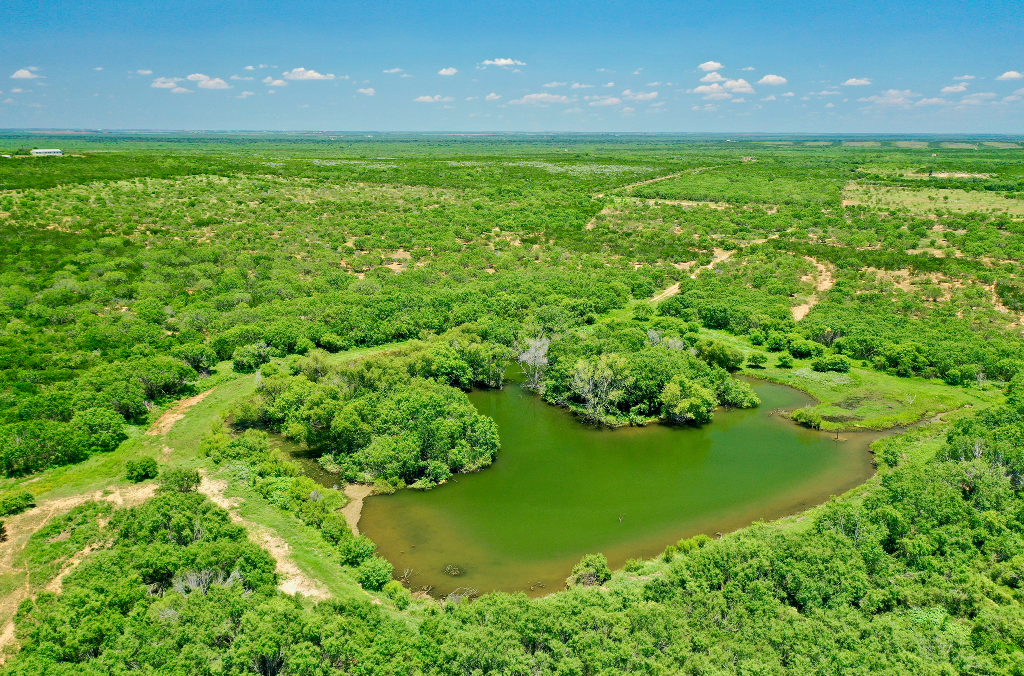 Oppenheimer Ranch - Image 5